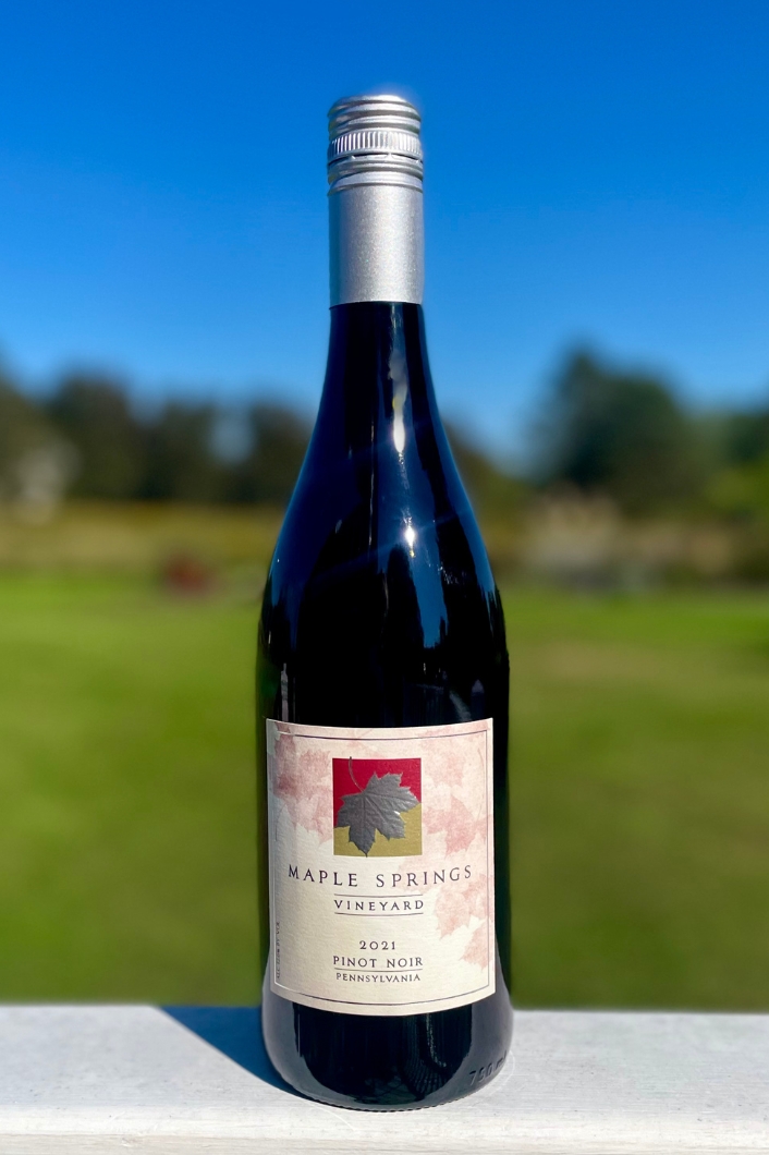 Product Image for 2021 Pinot Noir